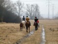 /album/fotogalerie-agroturistika/vyj2-jpg/